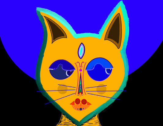 Midnight Kitty